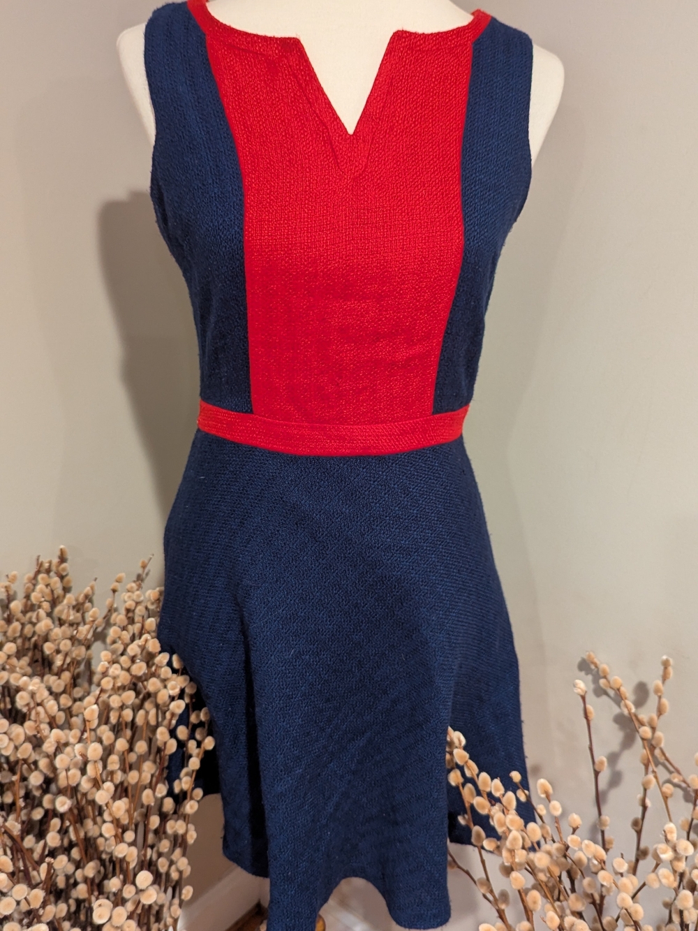 Sleeveless Navy and Red Fit-&-Flare Dress